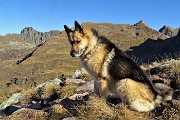 LAGHI GEMELLI, DELLA PAURA E DI VAL VEGIA, giro ad anello con tre cime dalla Conca di Mezzeno il 26 ott. 2019 - FOTOGALLERY